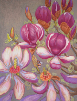 Metamorphosis of Magnolia II, 70x90 cm, pastel, 2019